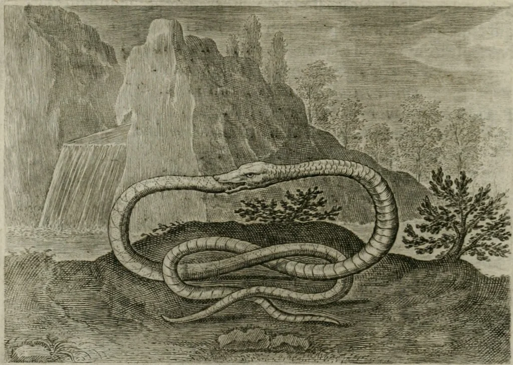 An illustration from Emblemata Florentii Schoonhovii I.C. Goudani, partim moralia partim etiam civilia : cum latiori eorundem ejusdem auctoris intepretatione : accedunt et alia quaedam poëmatia in alijs poëmatum suorum libris non contenta, 1648, leaf 159