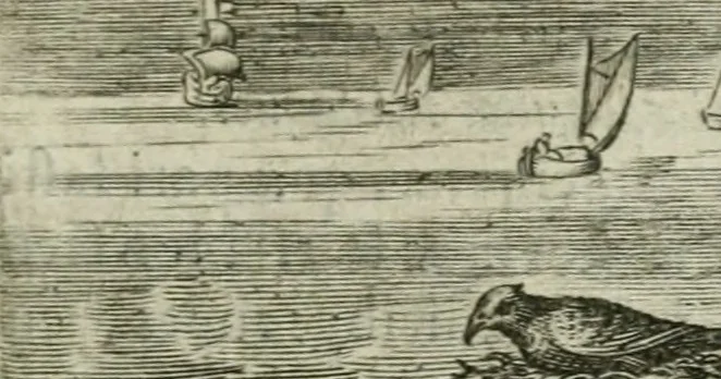 An illustration from Emblemata Florentii Schoonhovii I.C. Goudani, partim moralia partim etiam civilia : cum latiori eorundem ejusdem auctoris intepretatione : accedunt et alia quaedam poëmatia in alijs poëmatum suorum libris non contenta, 1648, leaf 164