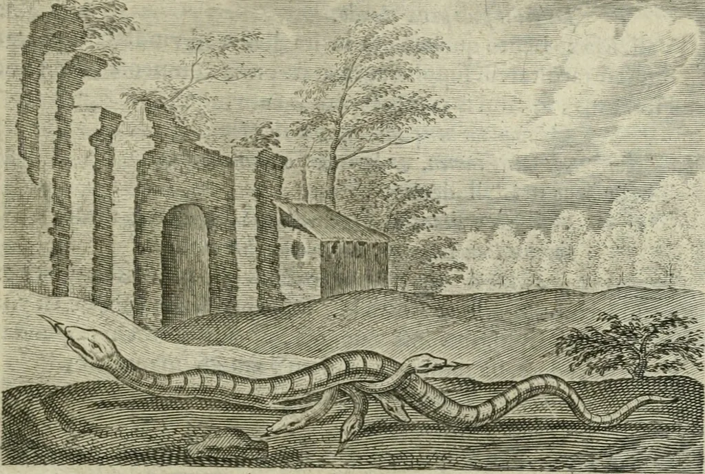 An illustration from Emblemata Florentii Schoonhovii I.C. Goudani, partim moralia partim etiam civilia : cum latiori eorundem ejusdem auctoris intepretatione : accedunt et alia quaedam poëmatia in alijs poëmatum suorum libris non contenta, 1648, leaf 170