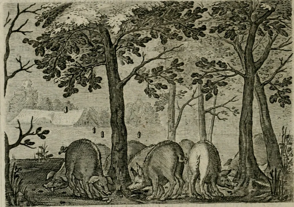 An illustration from Emblemata Florentii Schoonhovii I.C. Goudani, partim moralia partim etiam civilia : cum latiori eorundem ejusdem auctoris intepretatione : accedunt et alia quaedam poëmatia in alijs poëmatum suorum libris non contenta, 1648, leaf 217