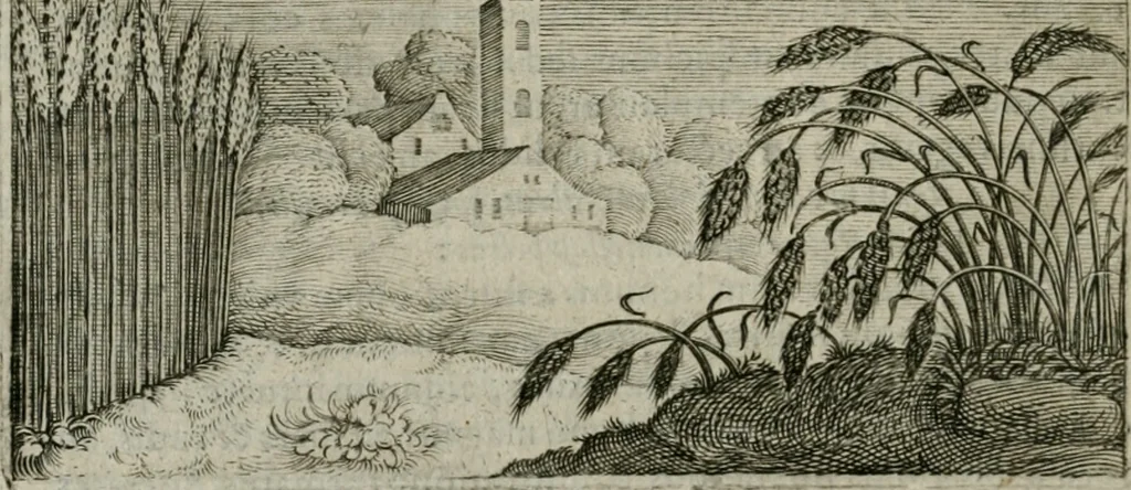 An illustration from Emblemata Florentii Schoonhovii I.C. Goudani, partim moralia partim etiam civilia : cum latiori eorundem ejusdem auctoris intepretatione : accedunt et alia quaedam poëmatia in alijs poëmatum suorum libris non contenta, 1648, leaf 225