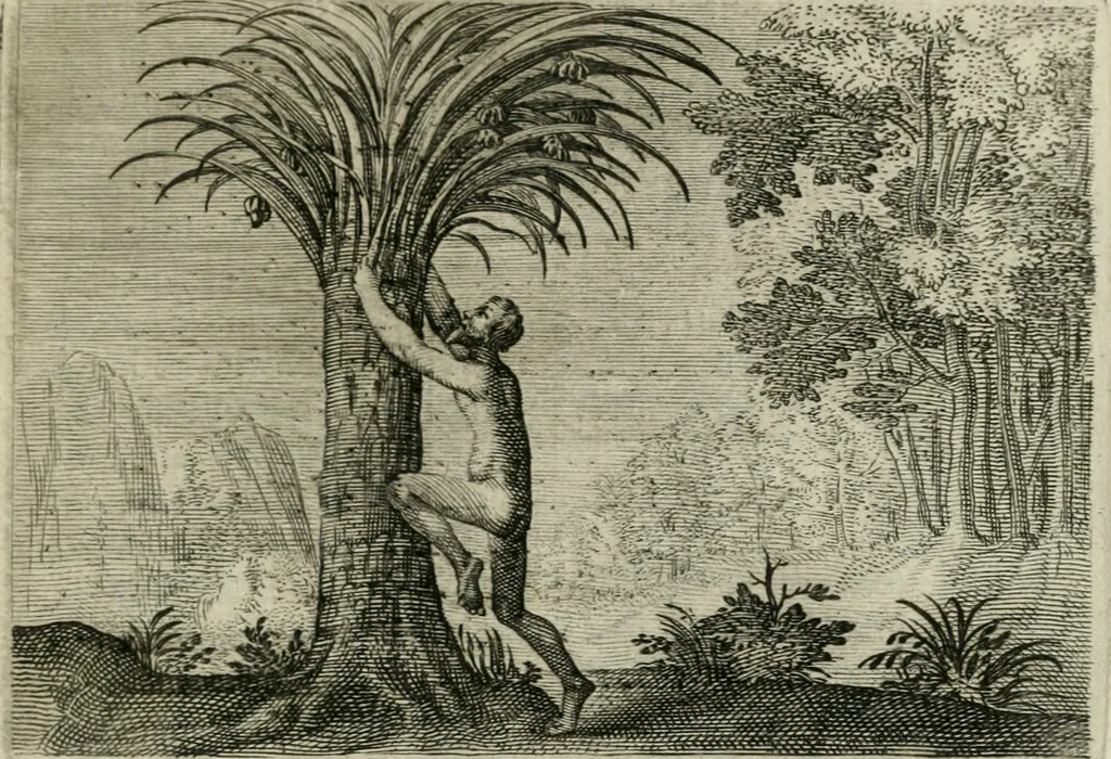 An illustration from Emblemata Florentii Schoonhovii I.C. Goudani, partim moralia partim etiam civilia : cum latiori eorundem ejusdem auctoris intepretatione : accedunt et alia quaedam poëmatia in alijs poëmatum suorum libris non contenta, 1648, leaf 228