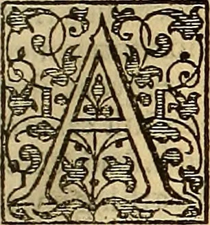 An illustration from The Florentine historie., 1595, leaf 104