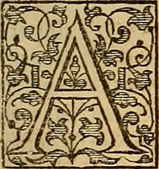 An illustration from The Florentine historie., 1595, leaf 128