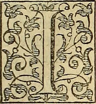 An illustration from The Florentine historie., 1595, leaf 158