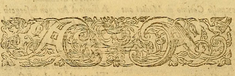 An illustration from The Florentine historie., 1595, leaf 17