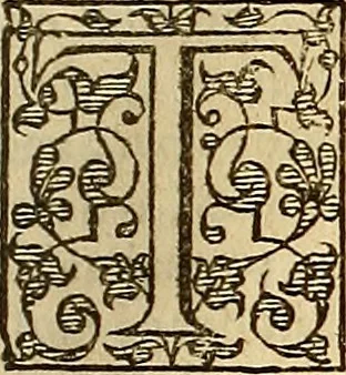 An illustration from The Florentine historie., 1595, leaf 78