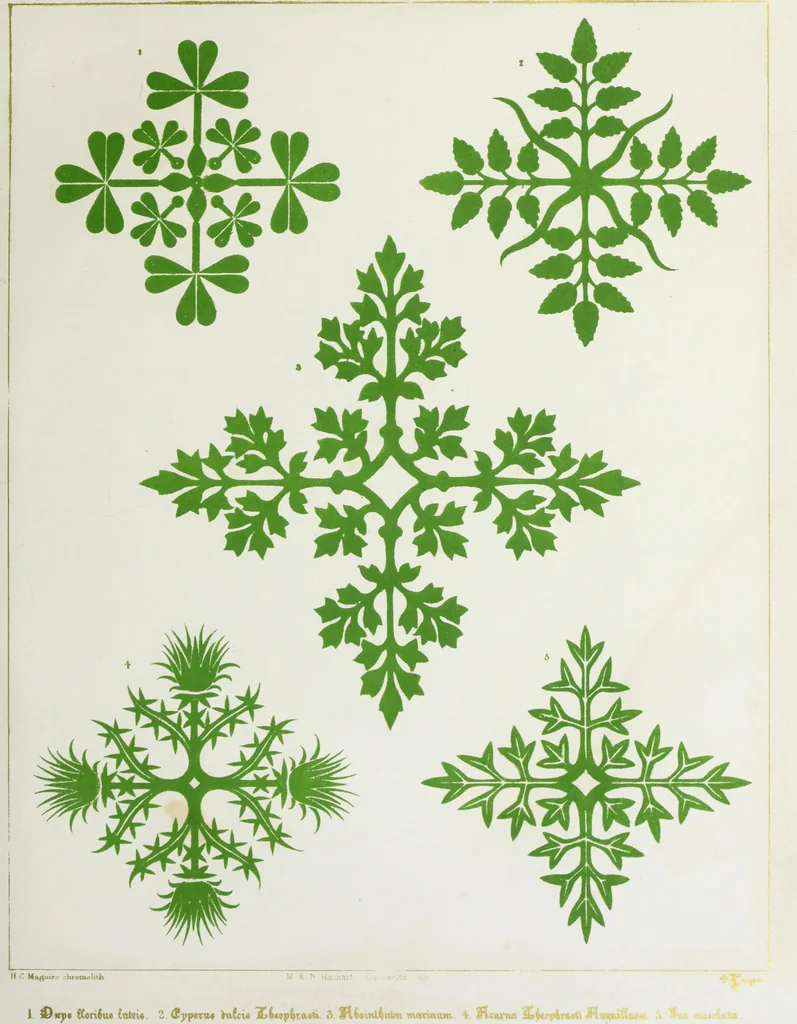 An illustration from Floriated ornament: a series of thirty-one designs, 1849, leaf 22