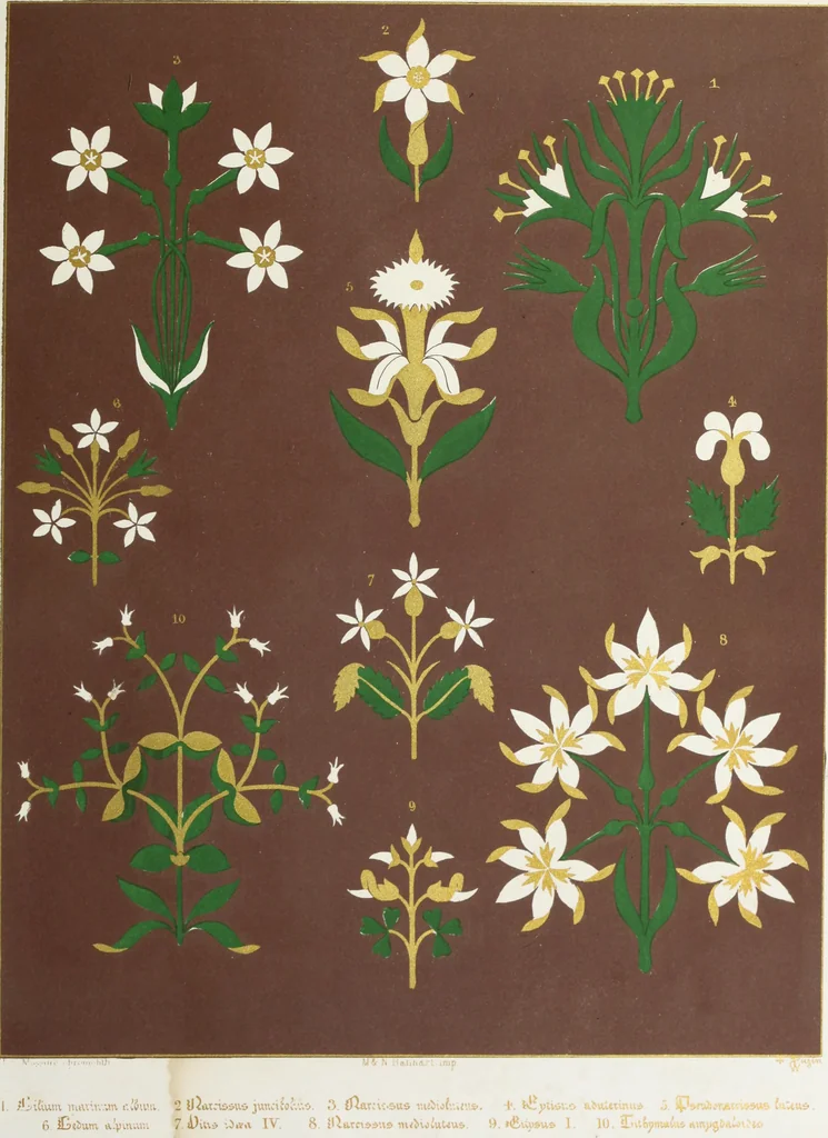 An illustration from Floriated ornament: a series of thirty-one designs, 1849, leaf 74