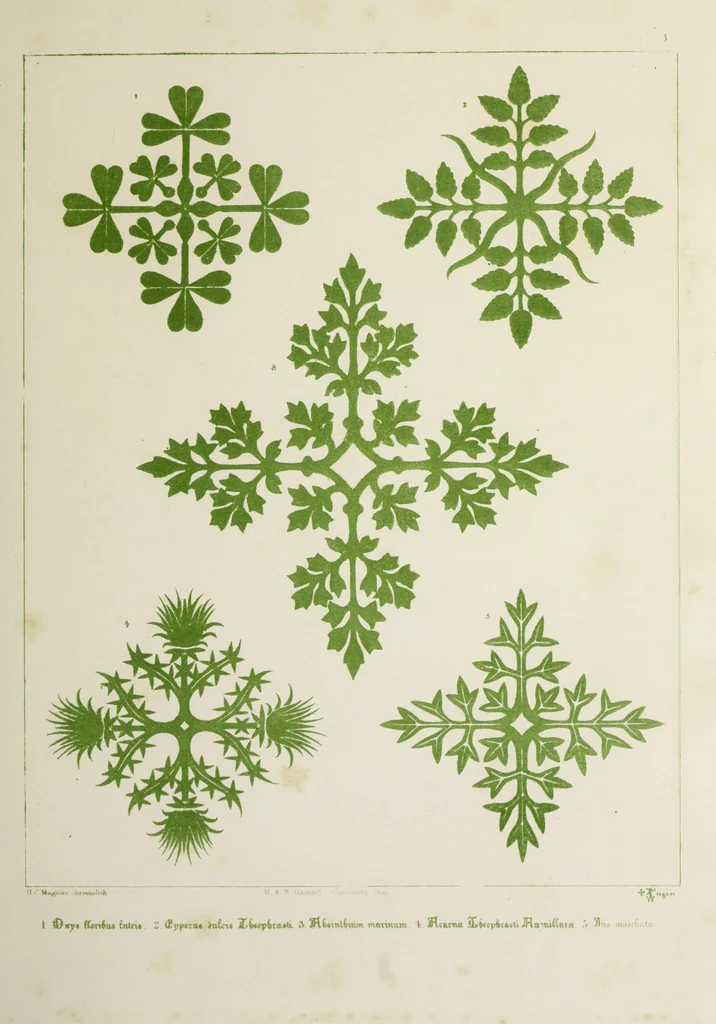 An illustration from Floriated ornament : a series of thirty-one designs, 1875, leaf 29