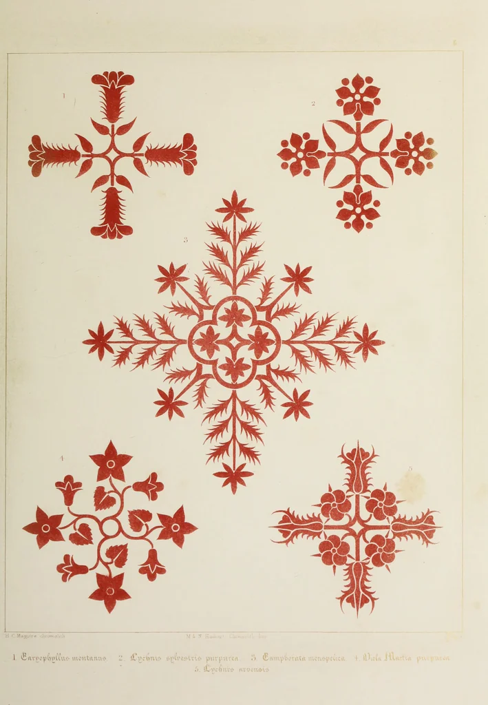 An illustration from Floriated ornament : a series of thirty-one designs, 1875, leaf 33
