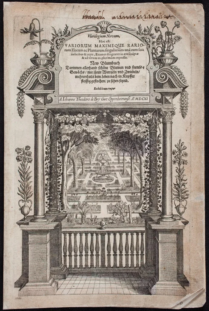 An illustration from Florilegium novum hoc est : variorum maximeque rariorum florum ac plantarum singularium unà cum suis radicibus & cepis, eicones diligenter in aere sculptae & ad vivum-ut plurimum expressae = New Blumbuch darinnen allerhand schöne Blumen und frembde Gewächs mit ihren Wurtzeln und Zwiebeln mehrer theils dem Leben nach in Kupffer fleissig gestochen zu sehen seind, 1611, leaf 1