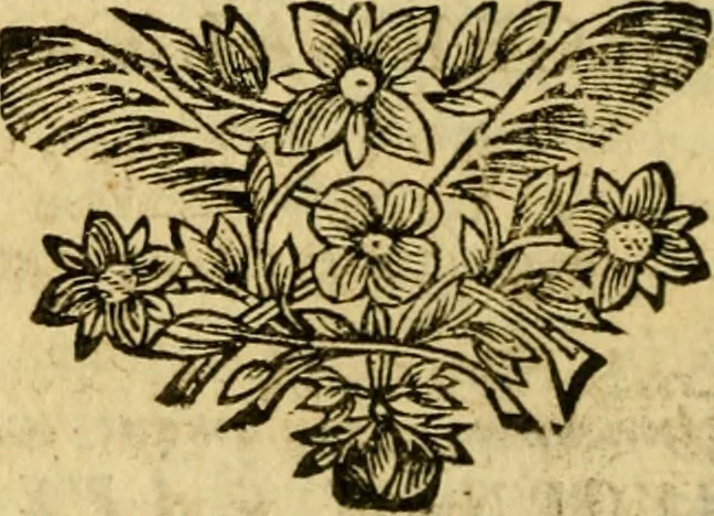 An illustration from Florus francicus. Sive rerum a Francis bello gestarum epitome.,, 1669, leaf 193