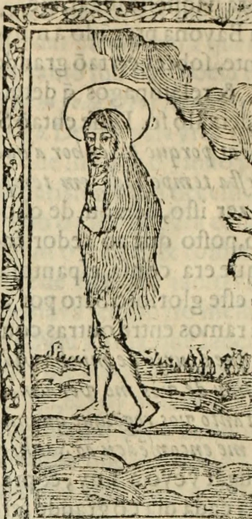 An illustration from Flos sanctorum : historia das vidas de Christo S.N. e de sua Santissima MÃ£y, vidas dos santos e suas festas repartidas pellos doze mezes : com sermoáº½s, & praticas que servem para muytas festas do anno, 1681, leaf 423