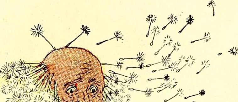 An illustration from Flower children; the little cousins of the field and garden, 1910, leaf 21