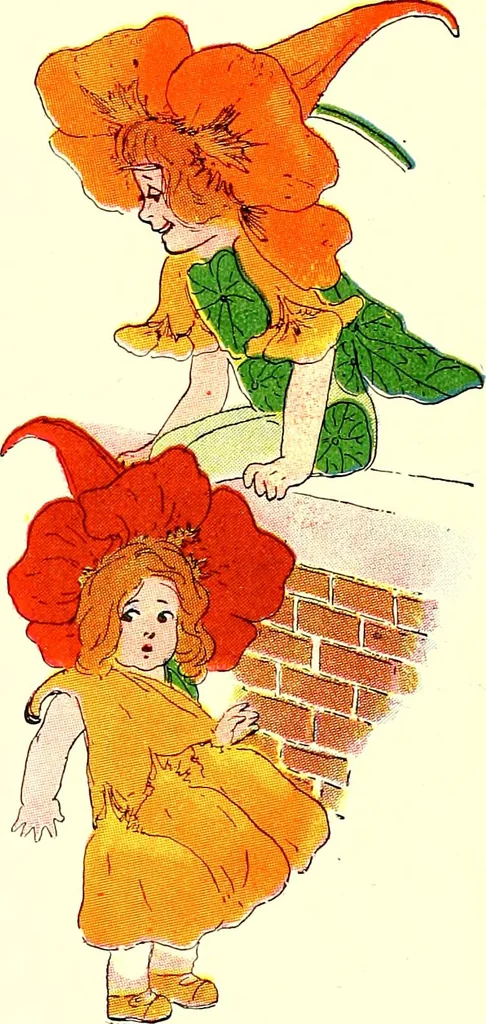 An illustration from Flower children; the little cousins of the field and garden, 1910, leaf 44