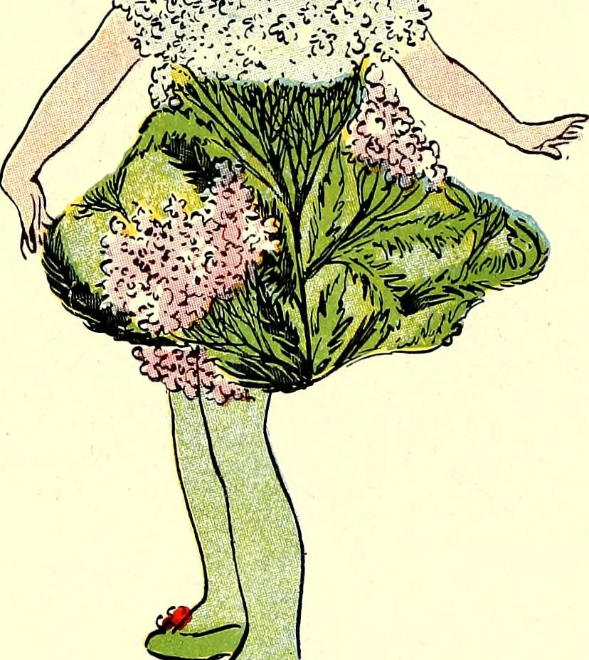 An illustration from Flower children; the little cousins of the field and garden, 1910, leaf 55