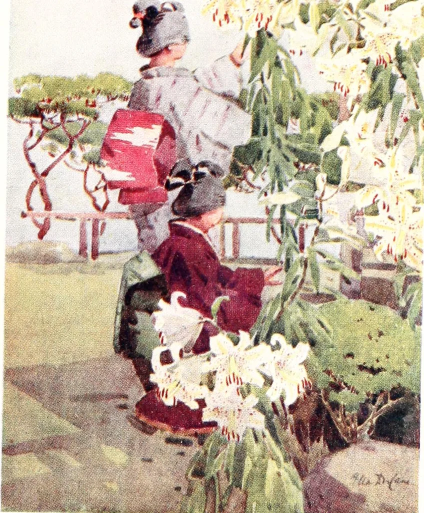 An illustration from The flowers and gardens of Japan, 1908, leaf 163