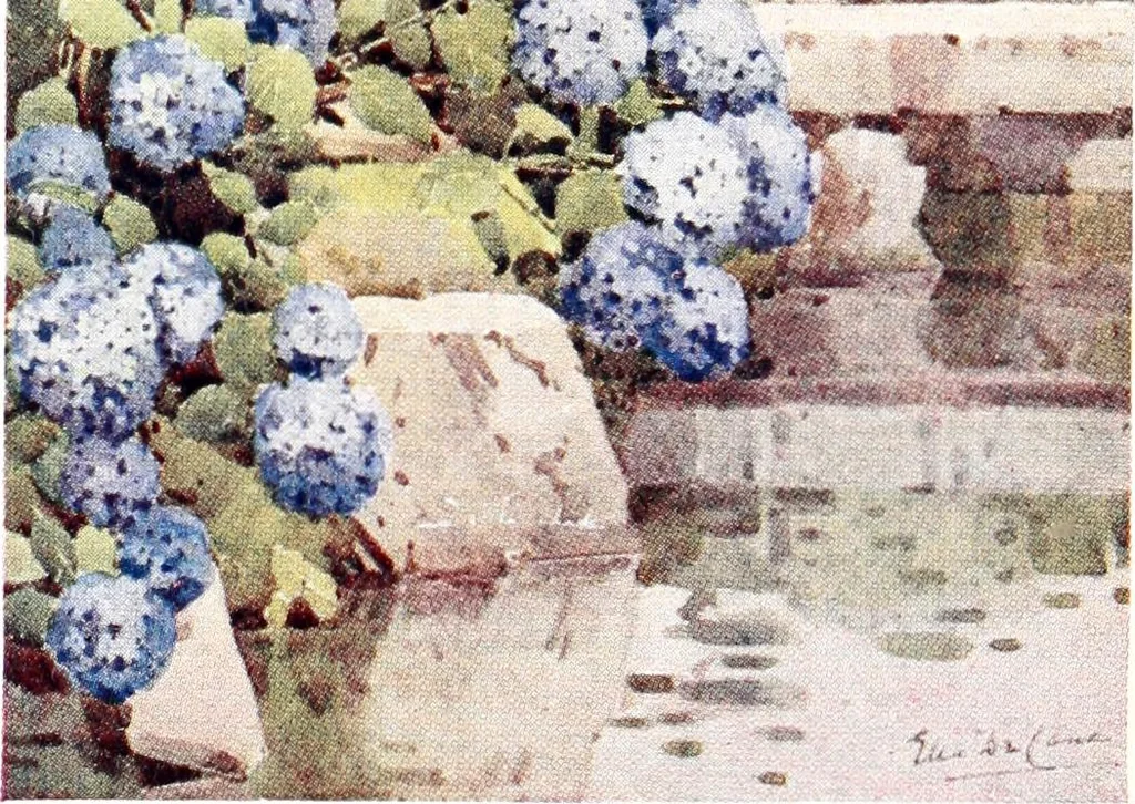 An illustration from The flowers and gardens of Japan, 1908, leaf 173