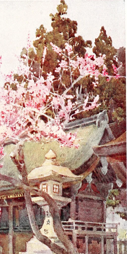 An illustration from The flowers and gardens of Japan, 1908, leaf 192