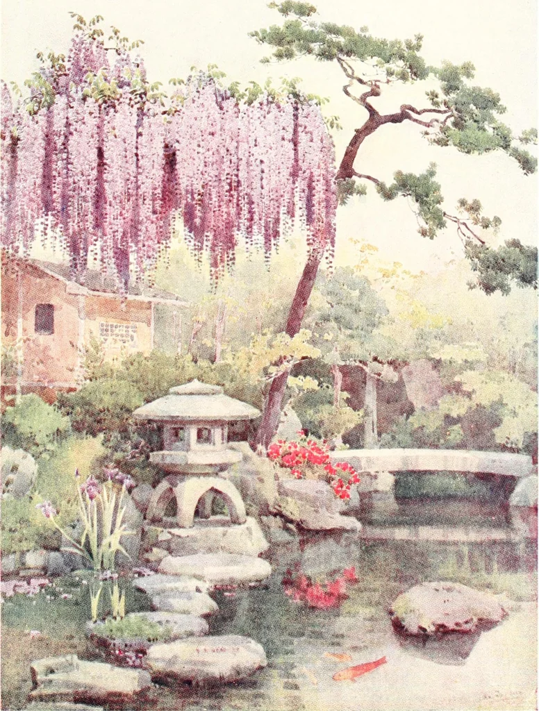 An illustration from The flowers and gardens of Japan, 1908, leaf 23