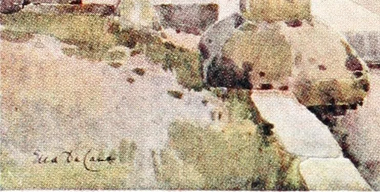 An illustration from The flowers and gardens of Japan, 1908, leaf 238
