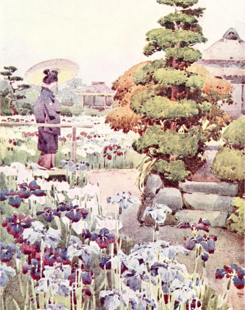 An illustration from The flowers and gardens of Japan, 1908, leaf 308