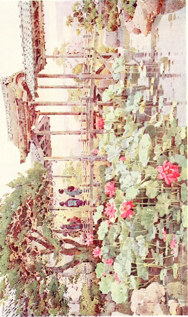 An illustration from The flowers and gardens of Japan, 1908, leaf 319