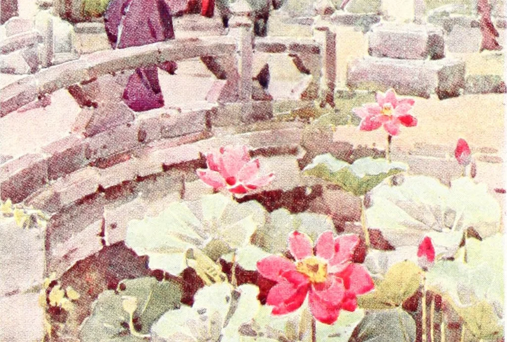 An illustration from The flowers and gardens of Japan, 1908, leaf 333