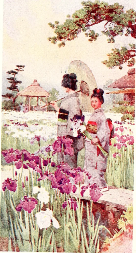 An illustration from The flowers and gardens of Japan, 1908, leaf 387