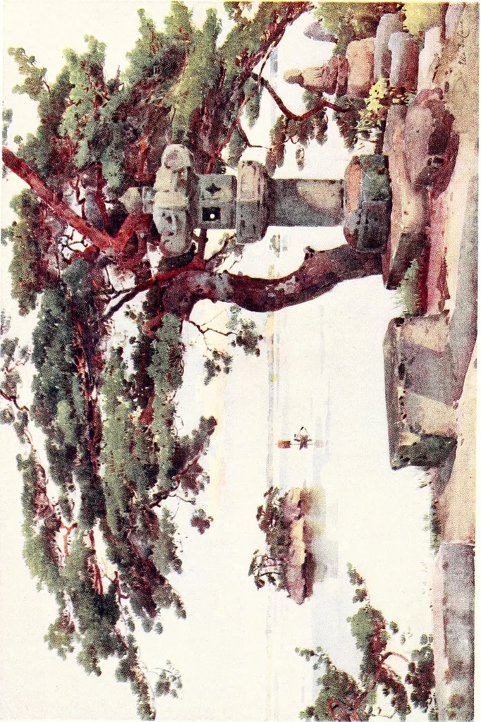 An illustration from The flowers and gardens of Japan, 1908, leaf 398