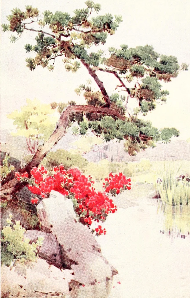 An illustration from The flowers and gardens of Japan, 1908, leaf 407