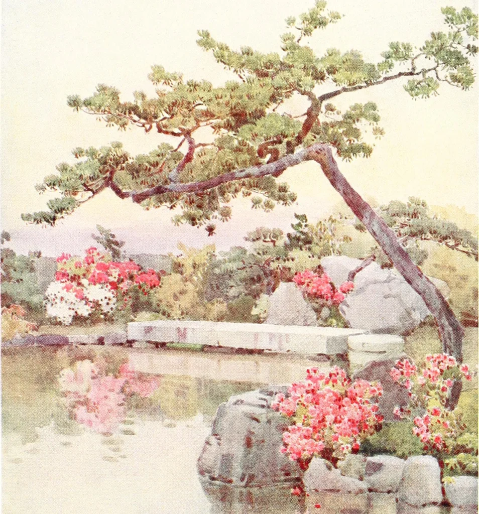 An illustration from The flowers and gardens of Japan, 1908, leaf 47