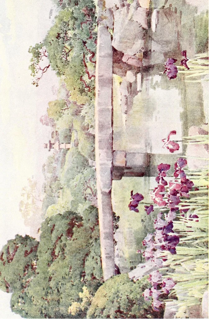 An illustration from The flowers and gardens of Japan, 1908, leaf 79