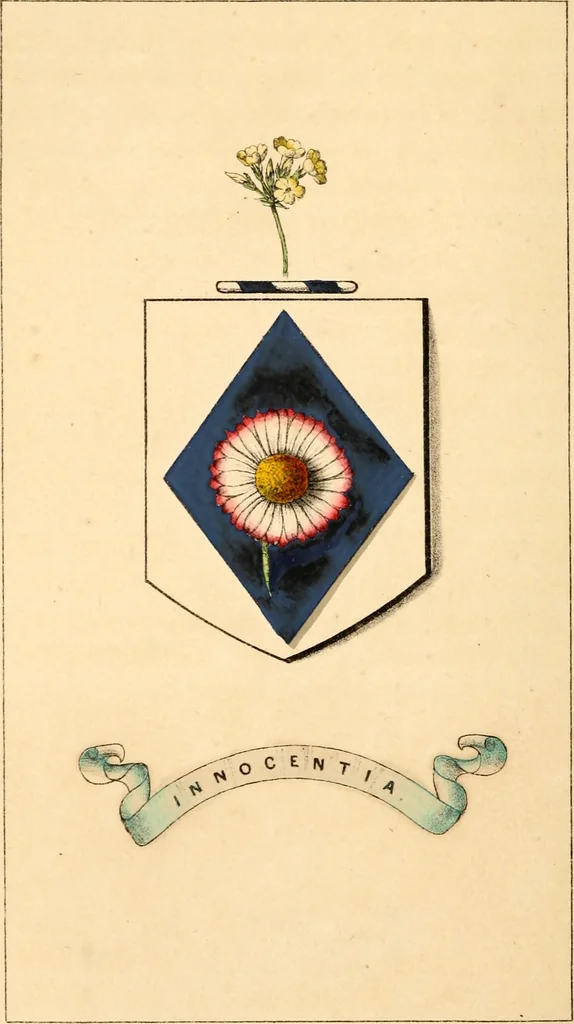 An illustration from Flowers and heraldry; or, Floral emblems and heraldic figures, combined to express pure sentiments, kind feelings, and excellent principles .., 1851, leaf 223