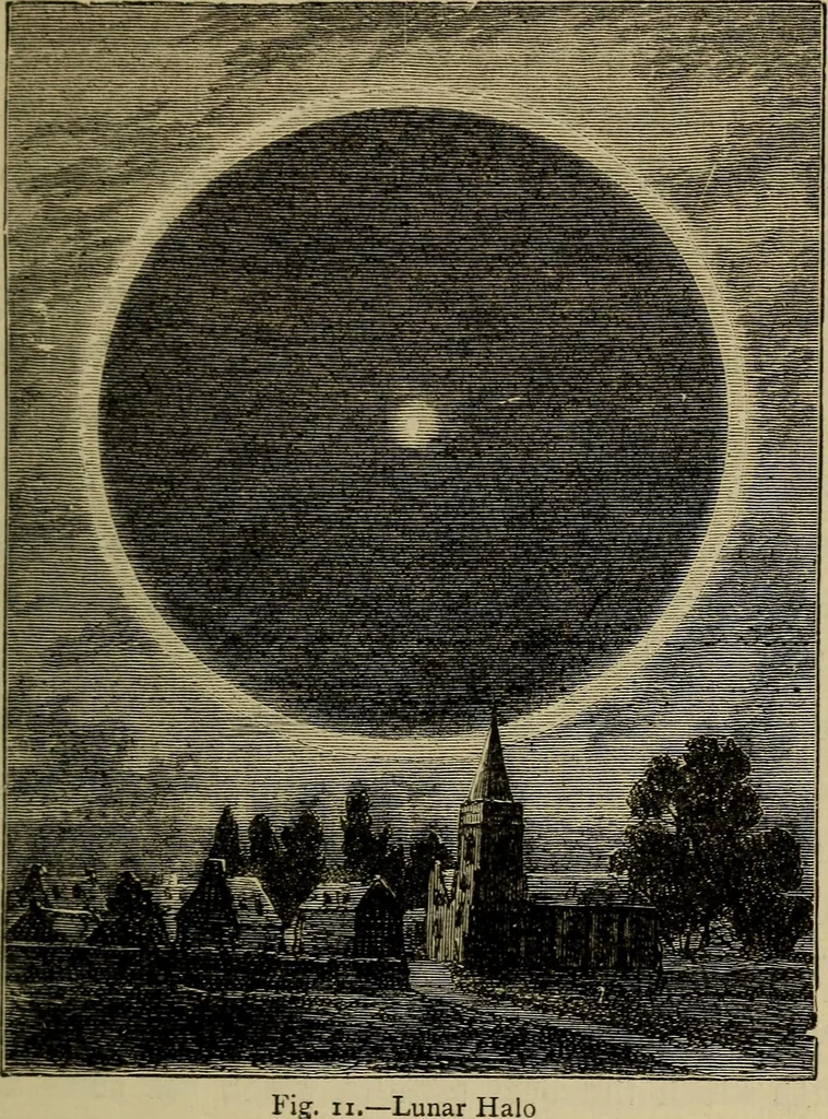 An illustration from Flowers of the sky, 1879, leaf 129