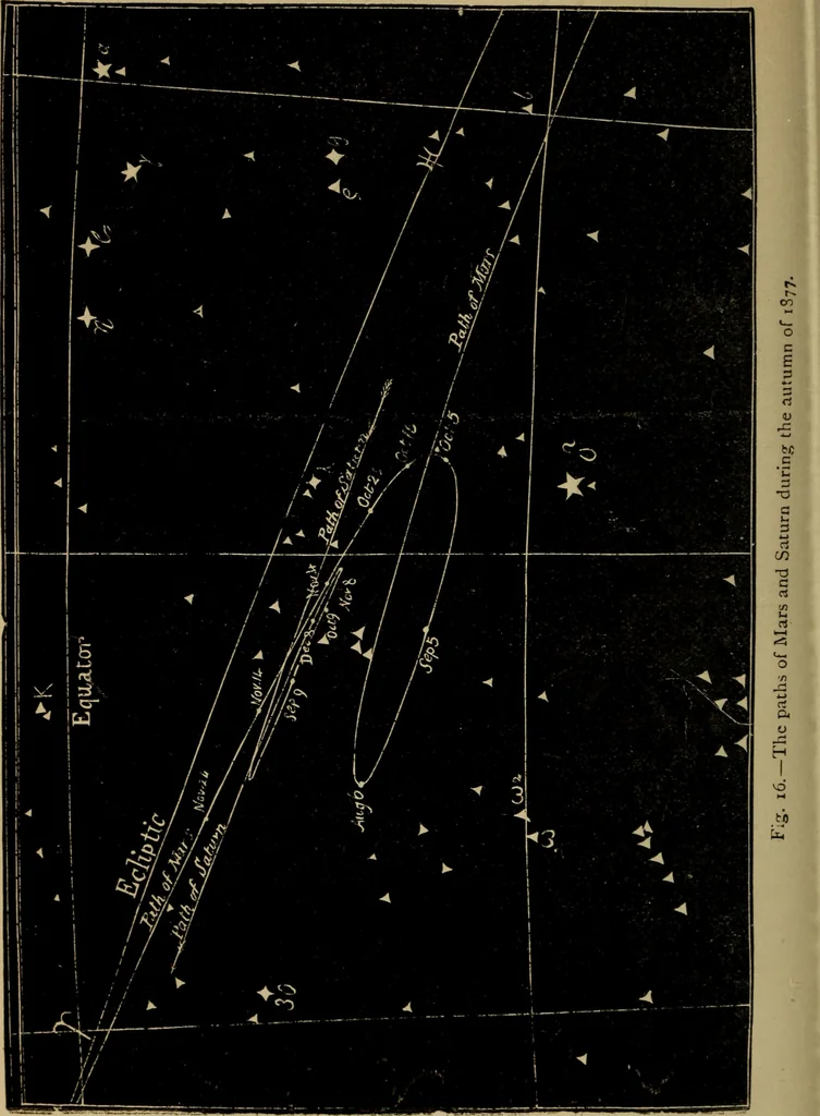 An illustration from Flowers of the sky, 1879, leaf 164