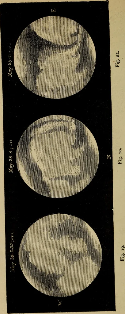 An illustration from Flowers of the sky, 1879, leaf 176