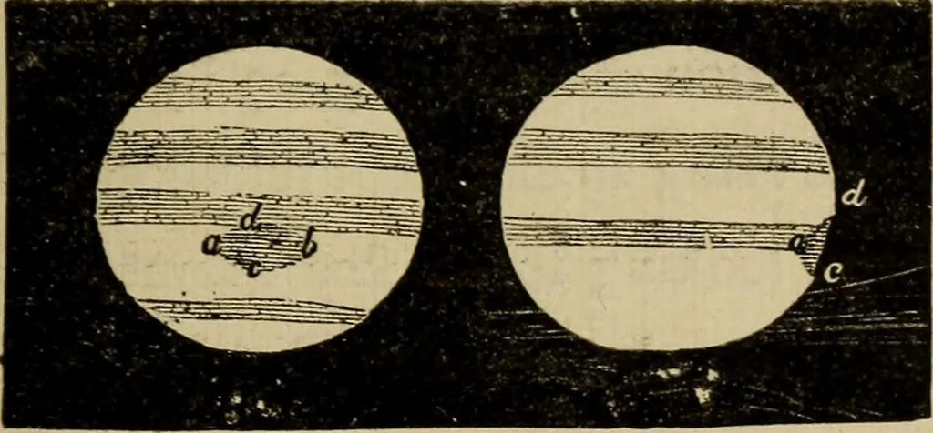 An illustration from Flowers of the sky, 1879, leaf 219