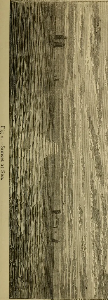 An illustration from Flowers of the sky, 1879, leaf 25