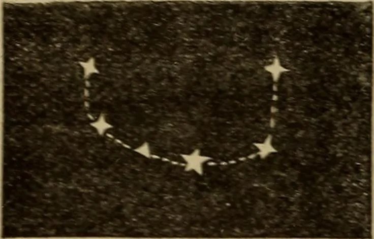 An illustration from Flowers of the sky, 1879, leaf 254