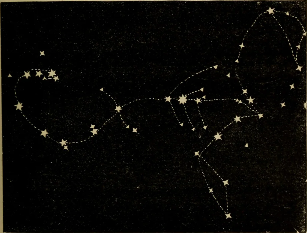 An illustration from Flowers of the sky, 1879, leaf 255