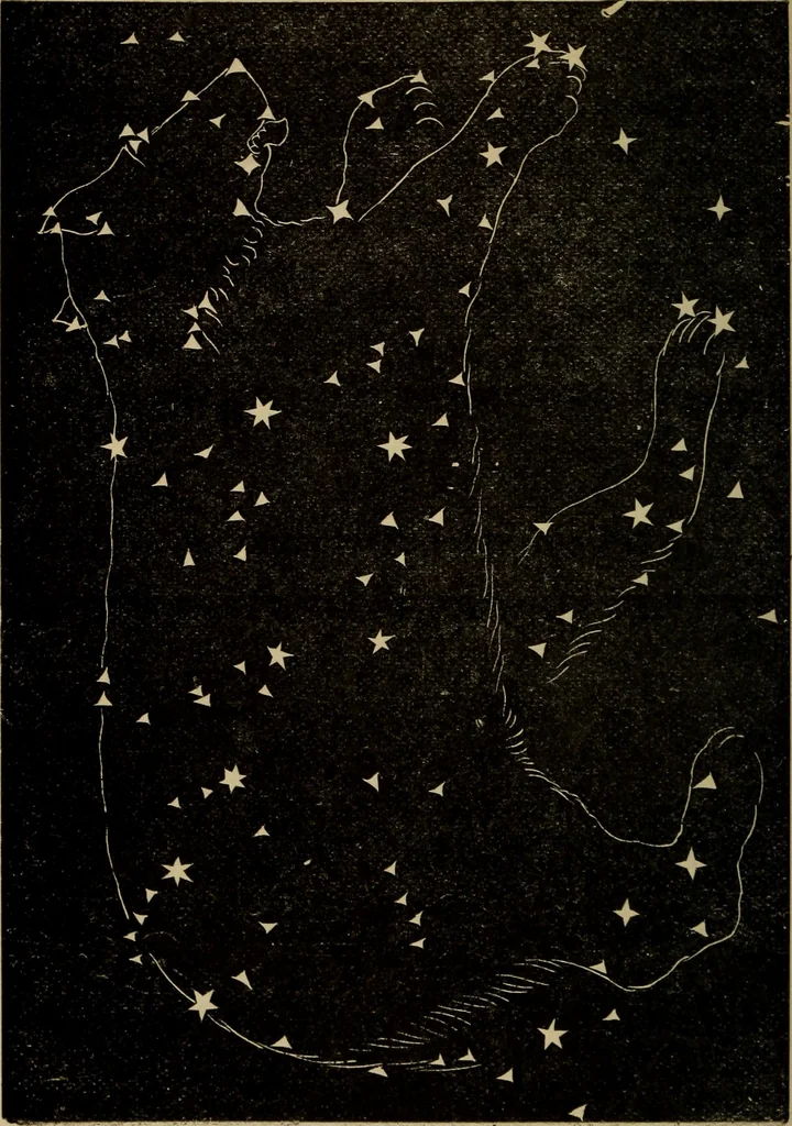 An illustration from Flowers of the sky, 1879, leaf 260
