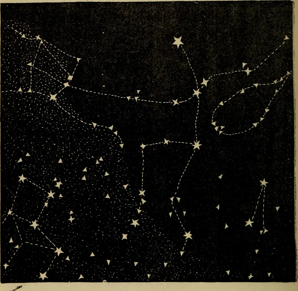 An illustration from Flowers of the sky, 1879, leaf 276