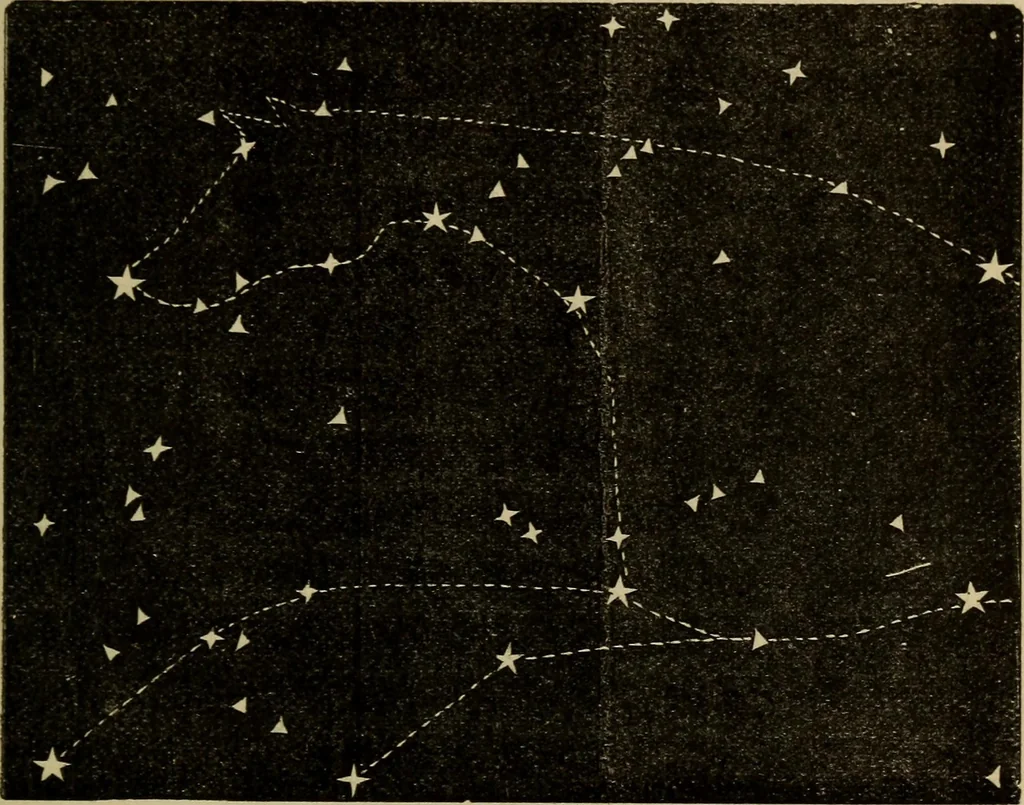An illustration from Flowers of the sky, 1879, leaf 279