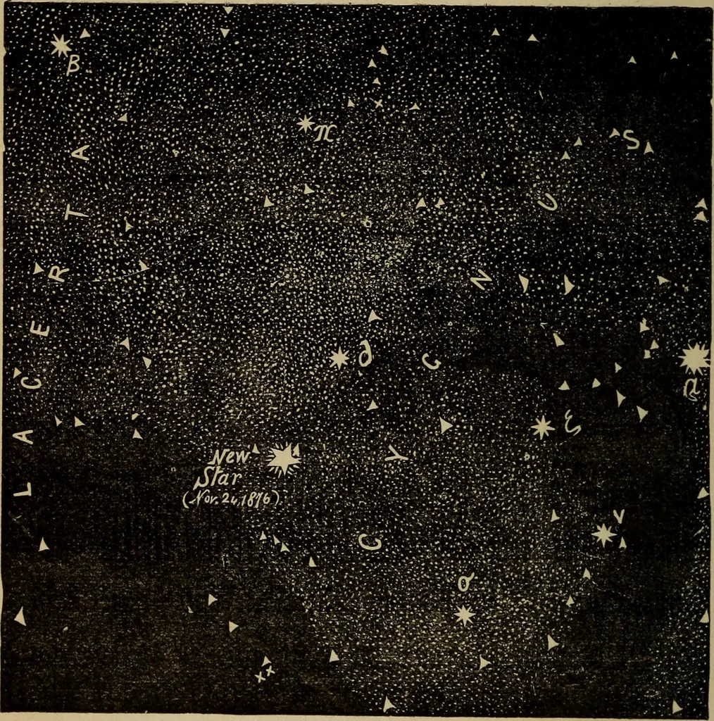 An illustration from Flowers of the sky, 1879, leaf 78