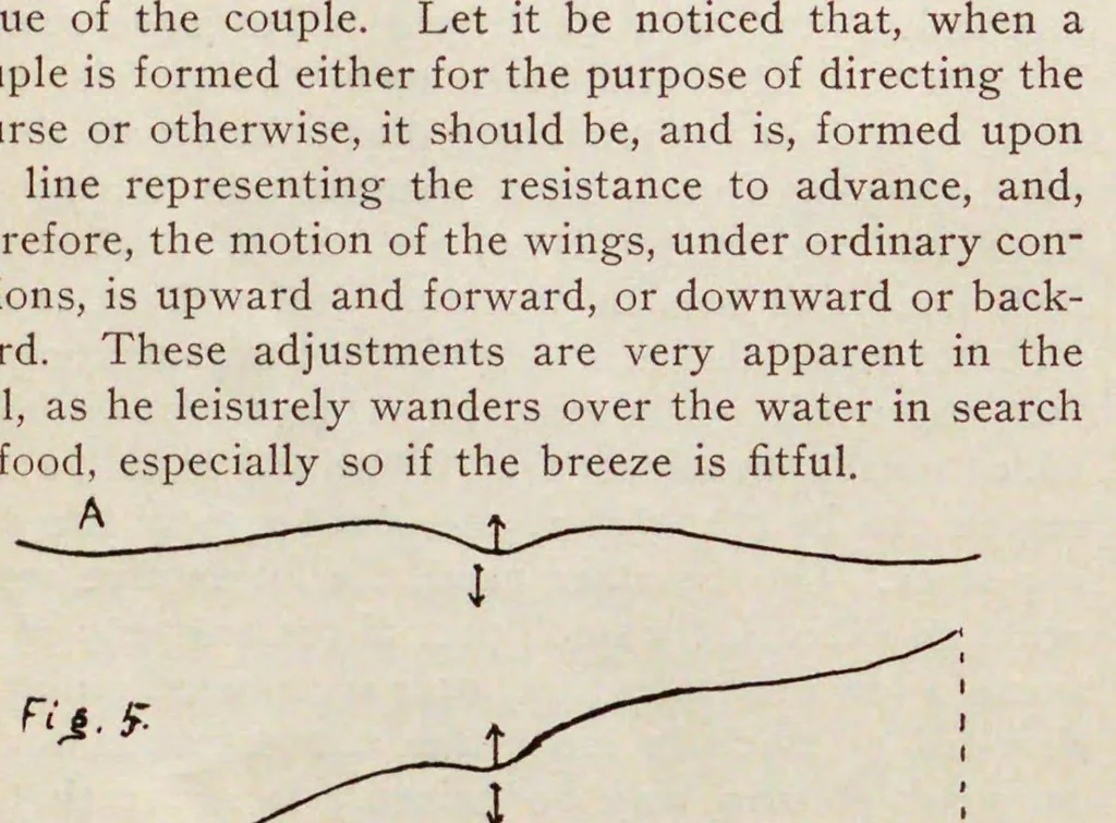 An illustration from Fly, 1908, leaf 416