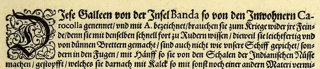 An illustration from Fünfter Theil der Orientalischen Indien, eygentlicher Bericht vnd warhafftige Beschreibung der gantzen volkommenen Reyse oder Schiffart, so die Holländer mit acht Schiffen in die Orientalische Indien, sonderlich aber in die Javanische vnd Molukische Inseln, als Bantam, Banda, vnd Ternate, &c. gethan haben, welche von Amsterdam abgefahren im Jahr 1598. vnd zum Theil Anno 1599. zum Theil aber in Jüngst abgelauffenen 1600. Jahr, : mit grossen Reichthumb von Pfeffer Muscaten, Regelein, vnd anderer köstlichen Würtz, wider anheym gelanget, darinn fleissig beschrieben vnd angezeigt, was ihnen auff der gantzen Reyse Denckwürdiges begegnet vnd zuhanden gangen., 1601, leaf 115