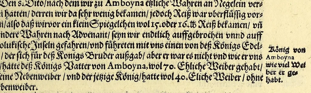 An illustration from Fünfter Theil der Orientalischen Indien, eygentlicher Bericht vnd warhafftige Beschreibung der gantzen volkommenen Reyse oder Schiffart, so die Holländer mit acht Schiffen in die Orientalische Indien, sonderlich aber in die Javanische vnd Molukische Inseln, als Bantam, Banda, vnd Ternate, &c. gethan haben, welche von Amsterdam abgefahren im Jahr 1598. vnd zum Theil Anno 1599. zum Theil aber in Jüngst abgelauffenen 1600. Jahr, : mit grossen Reichthumb von Pfeffer Muscaten, Regelein, vnd anderer köstlichen Würtz, wider anheym gelanget, darinn fleissig beschrieben vnd angezeigt, was ihnen auff der gantzen Reyse Denckwürdiges begegnet vnd zuhanden gangen., 1601, leaf 61