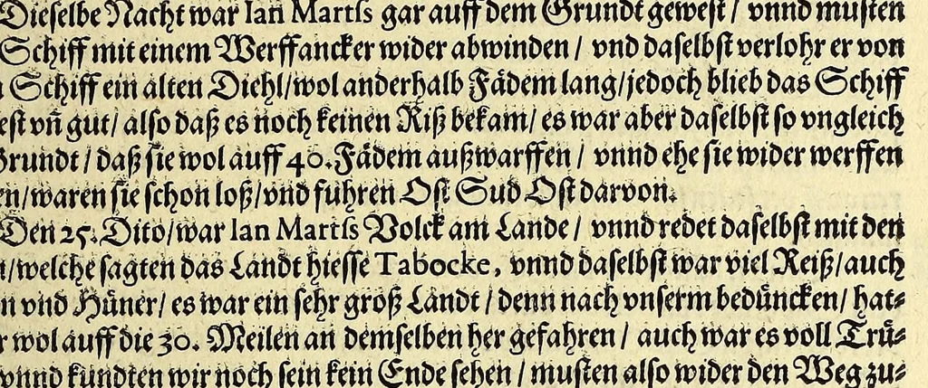 An illustration from Fünfter Theil der Orientalischen Indien, eygentlicher Bericht vnd warhafftige Beschreibung der gantzen volkommenen Reyse oder Schiffart, so die Holländer mit acht Schiffen in die Orientalische Indien, sonderlich aber in die Javanische vnd Molukische Inseln, als Bantam, Banda, vnd Ternate, &c. gethan haben, welche von Amsterdam abgefahren im Jahr 1598. vnd zum Theil Anno 1599. zum Theil aber in Jüngst abgelauffenen 1600. Jahr, : mit grossen Reichthumb von Pfeffer Muscaten, Regelein, vnd anderer köstlichen Würtz, wider anheym gelanget, darinn fleissig beschrieben vnd angezeigt, was ihnen auff der gantzen Reyse Denckwürdiges begegnet vnd zuhanden gangen., 1601, leaf 69